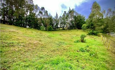 Venta Lote Semi Parcelacion Sector Fizebad (Retiro)