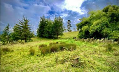 Venta Lote Semi Parcelacion Sector Fizebad (Retiro)