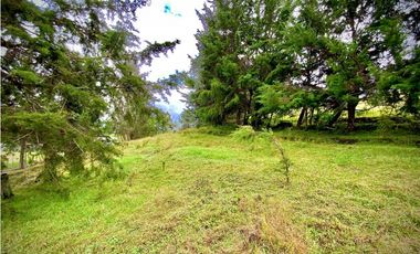 Venta Lote Semi Parcelacion Sector Fizebad (Retiro)