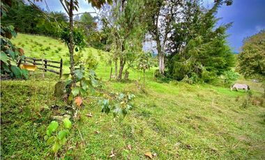 Venta Lote Semi Parcelacion Sector Fizebad (Retiro)