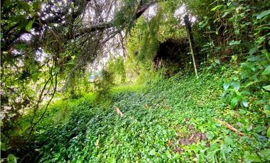 Venta Lote Semi Parcelacion Sector Fizebad (Retiro)