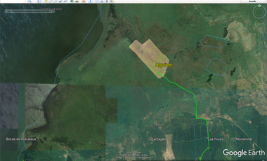 Finca ALGUINET 226 has SANTA MARTA