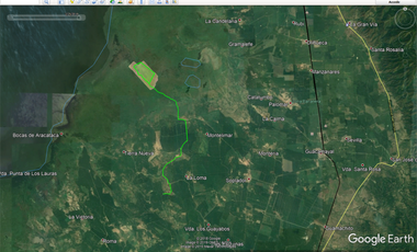 Finca ALGUINET 226 has SANTA MARTA