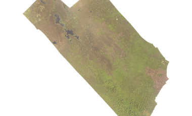 Finca ALGUINET 226 has SANTA MARTA