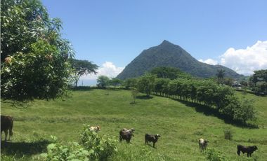 Vendo hermoso lote en Valparaíso topografía semiplana