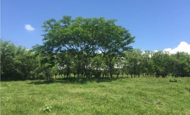 Vendo hermoso lote en Valparaíso topografía semiplana