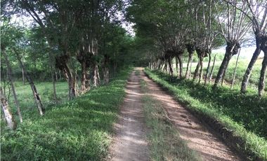 Vendo hermoso lote en Valparaíso topografía semiplana