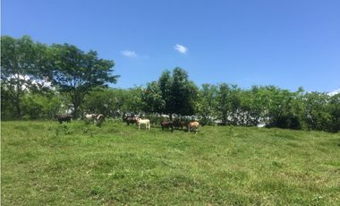 Vendo hermoso lote en Valparaíso topografía semiplana