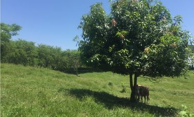 Vendo hermoso lote en Valparaíso topografía semiplana