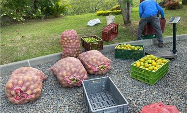 ESPECTACULAR FINCA PARA LA VENTA EN TAMESIS /S371