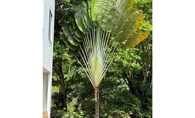 ESPECTACULAR FINCA PARA LA VENTA EN TAMESIS /S371