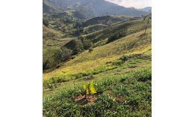 Vendo casa en Yolombó Vda. La Reina parcelación cerrada