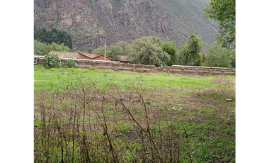 VENDO TERRENO 2000 M2 CALCA CUSCO PERÚ