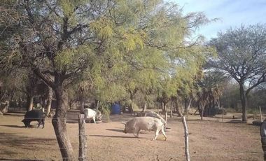 VENTA CAMPO 11 HECTAREAS SAN LUIS PAPAGAYOS MERLO