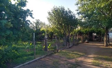 VENTA CAMPO 11 HECTAREAS SAN LUIS PAPAGAYOS MERLO