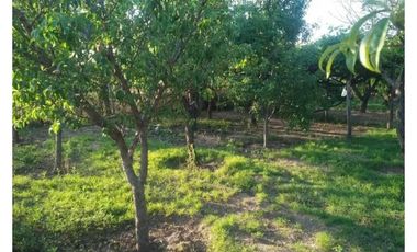 VENTA CAMPO 11 HECTAREAS SAN LUIS PAPAGAYOS MERLO