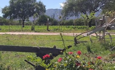 VENTA CAMPO 11 HECTAREAS SAN LUIS PAPAGAYOS MERLO