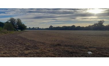 Campo 20 ha 9796 m2 Excelente Ubicación