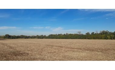 Campo 20 ha 9796 m2 Excelente Ubicación