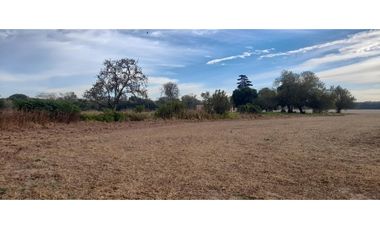 Campo 20 ha 9796 m2 Excelente Ubicación