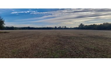 Campo 20 ha 9796 m2 Excelente Ubicación