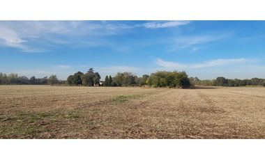 Campo 20 ha 9796 m2 Excelente Ubicación