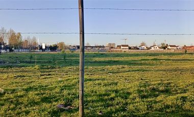 Local Comercial en Venta en Calle Paul Harris, sector Quilamapu, Chillan