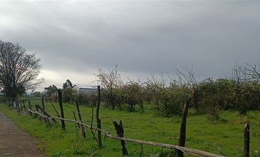 Agrícola en Venta en Panamericana Sur 2310, Chillán Viejo, Bío Bío