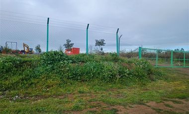 Agrícola en Venta en Panamericana Sur 2310, Chillán Viejo, Bío Bío