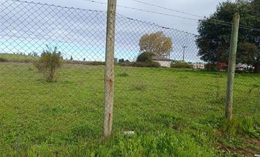 Agrícola en Venta en Panamericana Sur 2310, Chillán Viejo, Bío Bío