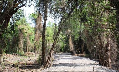 Parcela en Venta en Camino a Cato km. 7