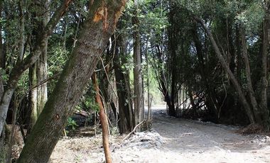 Parcela en Venta en Camino a Cato km. 7