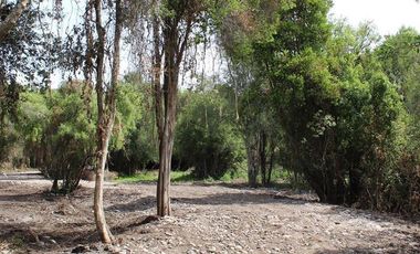 Parcela en Venta en Camino a Cato km. 7