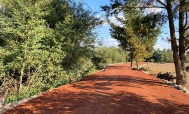 Parcela en Venta en Km. 6 camino Cato