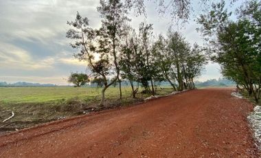 Parcela en Venta en Km. 6 camino Cato