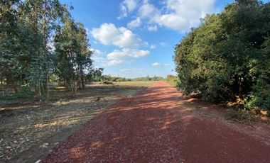 Parcela en Venta en Km. 6 camino Cato