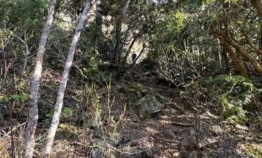 Parcela en Venta en Km.56 camino a las termas de Chillan