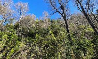 Parcela en Venta en Km.56 camino a las termas de Chillan