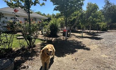 Parcela en Venta en Km. 9 camino a Coihueco