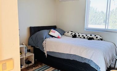 Local Comercial en Venta en Calle Flores Millán