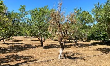 Casa en Venta en Lomas de Puangue | Casa en Parcela en Venta (3D3B) | Alas Propiedades