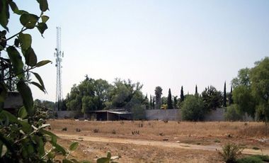 Terreno industrial en renta en Los Reyes Acaquilpan Centro