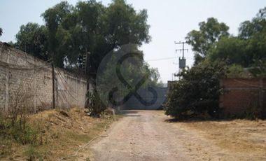 Terreno industrial en renta en Los Reyes Acaquilpan Centro