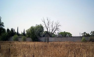 Terreno industrial en renta en Los Reyes Acaquilpan Centro