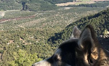 Parcela en Venta en Juan amigo