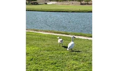 DEPARTAMENTO EN PREVENTA LAS AVES CLUB DE GOLF LAS AVES PESQUERIA