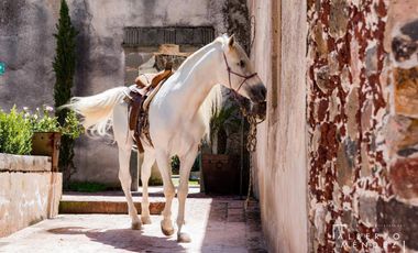 Terreno en Venta en Manantiales de Nopala, Nopala, Hidalgo.