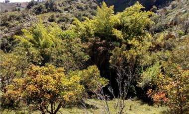 (I) LOTE PARA LA VENTA EN MARINILLA ANTIOQUIA