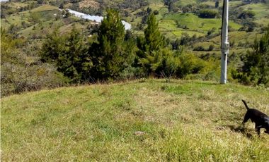 (I) LOTE PARA LA VENTA EN MARINILLA ANTIOQUIA