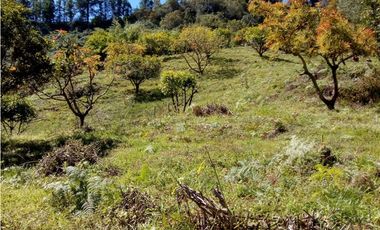 (I) LOTE PARA LA VENTA EN MARINILLA ANTIOQUIA